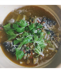 自己动手丰衣足食,学做泡椒鱼摆摆