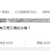 什么牌子有又宽又扁的冰箱?