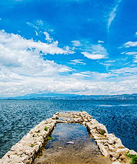 ɹһɹ������εأ���ʳ��ȯ����ͣ�