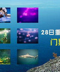 ���컶�ֺ��������¥����