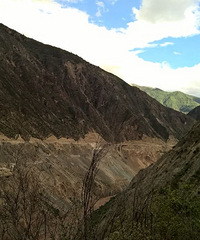 ɹ2015�����������μǡ���ͽ�����������Ѱ�Ҵ�˵�е�����