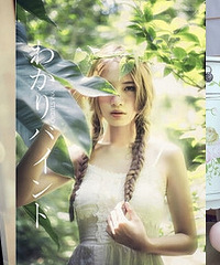 2015�����д���Ź��𱬿�������