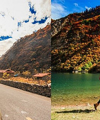 Ѱ�Ҵ���������Ҷ�Լ��λ