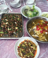 话说我吃过的重庆那十家名店的鸡——【美食狗仔大PK】