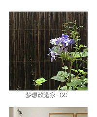 《梦想改造家》又来一个重庆设计师,这次霸道惨了,智慧又人性化