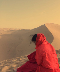 ɹ2015μǡƫ㣨ڸ꣩