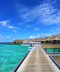 Maldives+Hongkong 一生一次的蜜月之旅