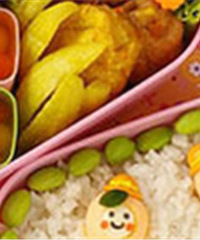 ɹ����ұ��������ʳ