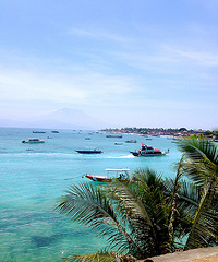 ɹ2015�����������μǡ���������嵺.���20����������С���