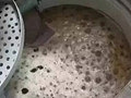 洗衣机比马桶还脏?