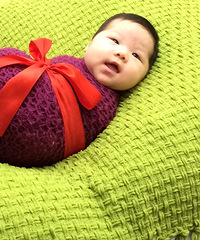 ����̨����NO.1773ح���°�Ц�����������ˡ��������۸�