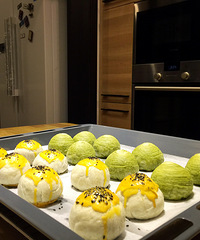 �¿�������~~~