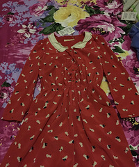 今天一下班就直奔江南商都,坛子里的美女们