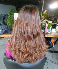 Բ���Ҷ���ĳ������Σ���������ϵ������������