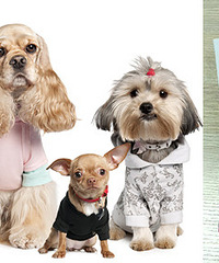 ɹ����װ�������ȳ豦��