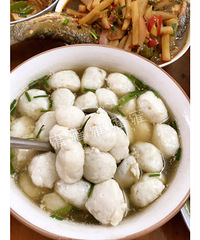美食暖心又暖胃,请温暖身体虚弱的我+【美食狗仔大PK】