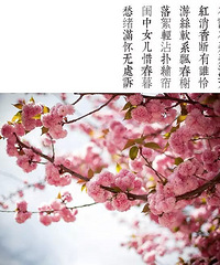 面朝大海,春暖花开~