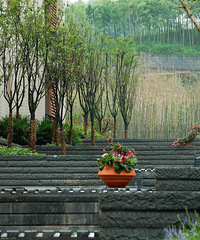 ��2015�����򷿱�ϲ���ӿ������ӽ絽ͬ�����ʳǣ�����38��141��