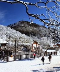 ܱζξƼ򿨶ȼ٣2019ܱ