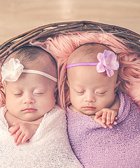 ��͵������ɹɹ�ҵ�˫��̥С�ް�