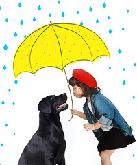 ������Ƭ ����������� �ֶ�������ķ�����