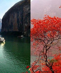 ˫12����ɽ��Ҷ��˫���Լݻ�������μӡ�