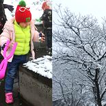 �������Ͻ��ɽ��ѩ