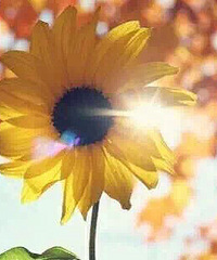 ˵ҵװ֮ðɣѪʷϣҿ