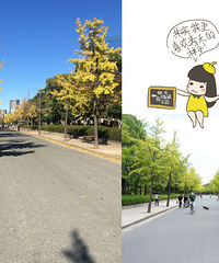 谁说女生不能一个人去旅行之日本深秋行(陆续更新中~~~)