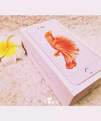 �ҷ�~ʥ���ڵ��ʻ�~���صĴ���~ˮ���ֻ�~�ɰ���С�������