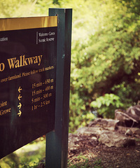 �����Լ�������12�죬һ�����ϵ��Ĵ���+[�������Ǵ�����