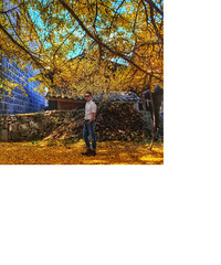 �ҵ��Լ���Ҫ��