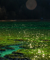 ��ĩ�������ʧ�ڶ���ͯ���ľ�կ��+���������Ǵ�����