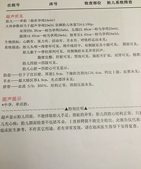 10.大排畸-三维和系统彩超
