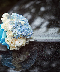 Ů׷иɴǽˡ۷ʯ20161ռǡ