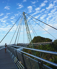 ����ҹ�����ı���������+���������Ǵ�����