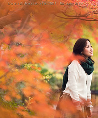 ׷�𡱷�ѩ���á� �ձ�������������ʮ����+���������Ǵ�����