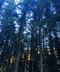 ��ĩ�������ʧ�ڶ���ͯ���ľ�կ��+���������Ǵ��������꣡����