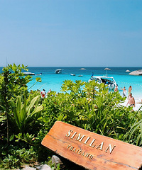 ���ڱ����򶨵����ӣ�����ӡ�������ķ硣���������Ǵ�����