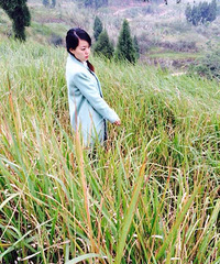 ��Ϊ�����ȱ���ĵ�ԭ������29�����