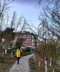 �����ڶ����ˣ�����ʱ������ţ�