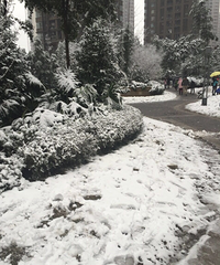 2016重庆购物狂大事记,还记得一月份的那场雪吗?