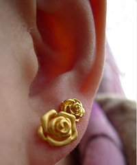 2016��һ��~��Ӳӵ�õ�����