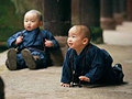 合川小hs萌翻了!