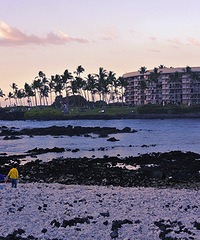 �����ֺ��١����տ���������֮�����ġ���������˫����~~~~~~~~~