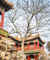 Beijing For Night【车旅无忧大赛】