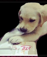 ���ԡ�ֱ����������������󽱵�����