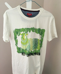 �ɽ��������