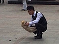 南坪步行街竟有人虐狗