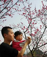 【春天出来嗨】阳春三月,2岁宝宝去过的地方